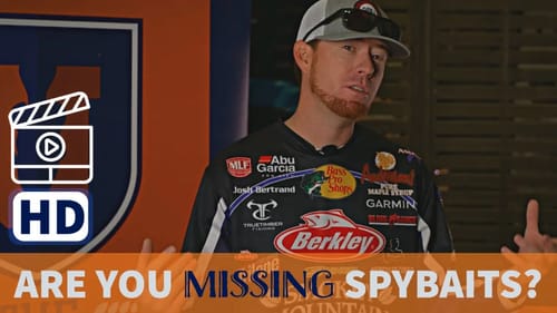 Spybaits...Suspended Bass Eat 'em Up