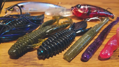 Best Lure Colors To Catch Bass This Winter