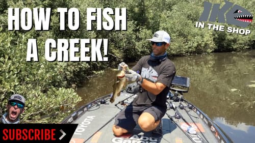 How to Fish a Creek!