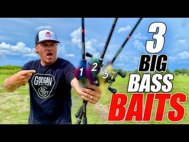 3 Lures That Catch BIG Fish EVERYWHERE