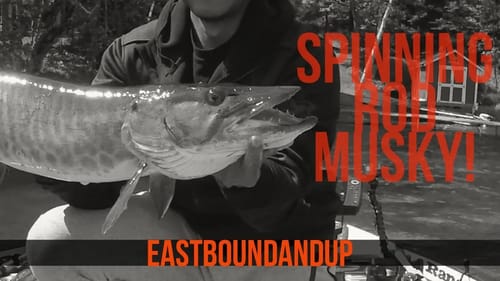 Big Smallmouth and Musky on Finesse Spinning Gear