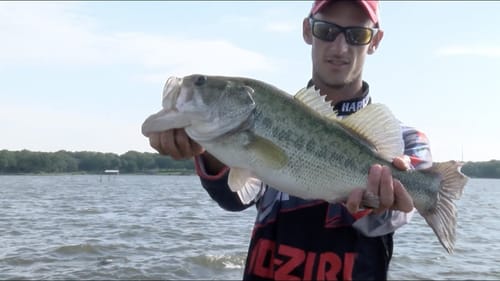 2019 Bassmaster Elite Series - Winning Ways 2