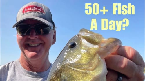 The Lure That Produces The Most Bass…(You Guys Won’t Guess This One)