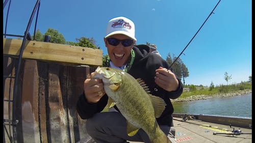 Smallmouth Bass Fishing Experience on Sturgeon Bay