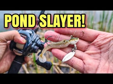 This SIMPLE Rig CRUSHES Pond Bass
