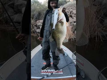 12lb Bass Cast To Catch