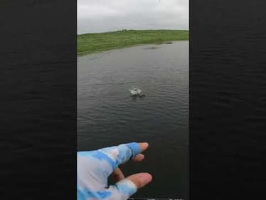 What will this weird lure catch? #fishing