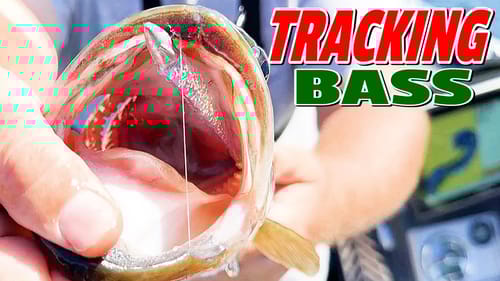 TRACKING BASS - Fall To Winter - UNBELIVABLE