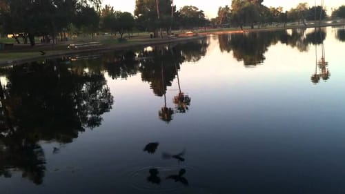 Summer Pond Fishing