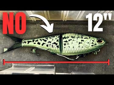 The BEST & Most Consistent SWIMBAITS for Big Bass