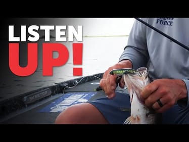 Let The Fish Tell You What They Want! (Silent Spook Vs OneKnocker Spook)