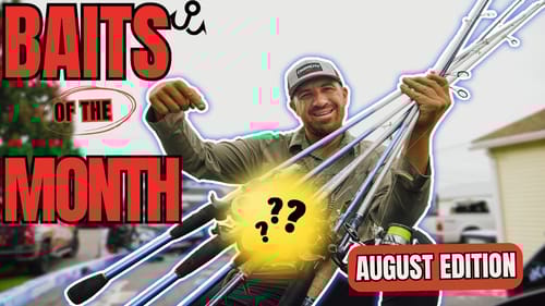 TOP BAITS of the MONTH | August 2024 Edition