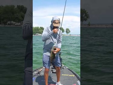 No Slow Rolling Here! New Spinnerbait Video Out Now!