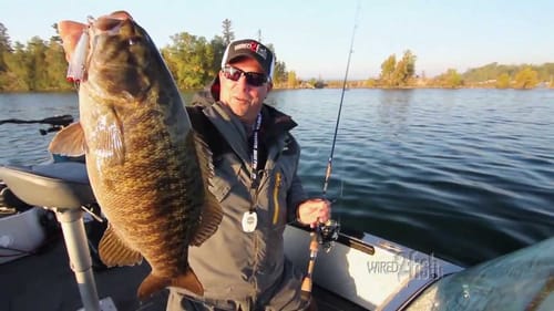 Topwater Tips for Bass