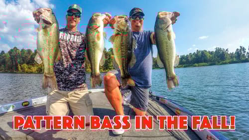 Bass Fishing Patterns for Late Summer and Fall