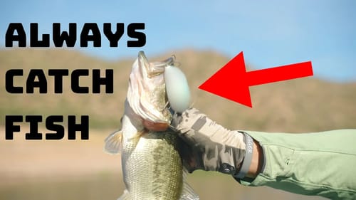 This Is The Only Reaction Bait You Need When The Fish Go Shallow To Feed!