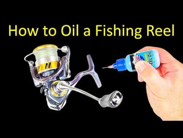 How to Oil a Fishing Reel - Spinning Reel Maintenance