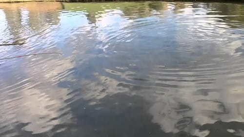 Thanksgiving Fishing