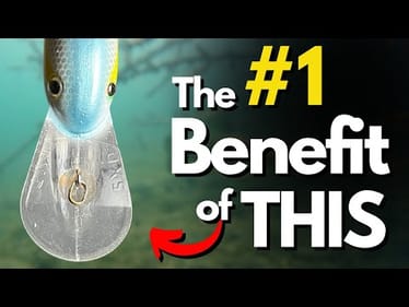 EVERY Bass Angler Should Know THIS About Crankbaits