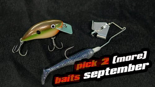 Pick 2 (More) Baits September
