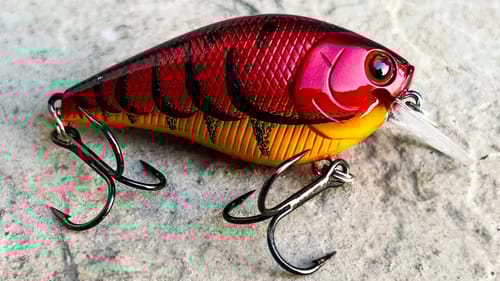 Crankbait Tricks For Late Summer!