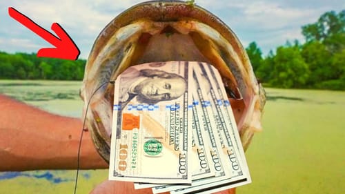 10 LEGIT Ways To Make MONEY Fishing ($$$)