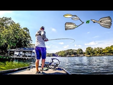 SPINNERBAIT vs CHATTERBAIT || Which Lure Catches MORE Fall Bass??