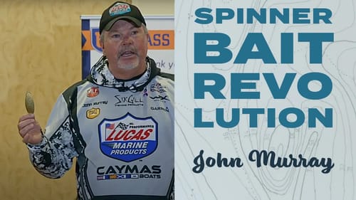 Spinnerbait Secrets: The Evolution of a Fishing Game Changer