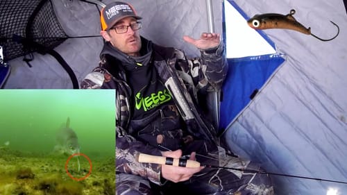 How to fish the Meegs - Indepth by James Meger! (Underwater Footage)