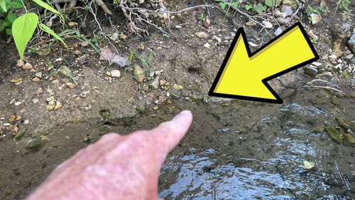 Catch Your Limit Every Day Off MUD Banks…(How/When)