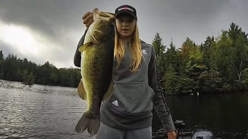 Early Fall Action!