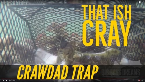 Crawfish Trap Part 1 - Catching Crawdads Big Bass Dreams