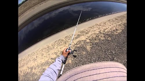 Sight Fishing for Largemouth Bass 2015