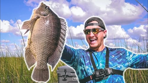 BowFishing For GIANT Tilapia on Lake Okeechobee