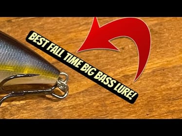 Catch Twice As Many 4+ Pound Bass This Fall With This Lure..