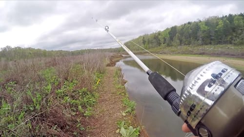 GRABBING Sucker Fish from a River