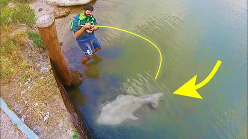 I CAUGHT the BRIDGE MONSTER!!!