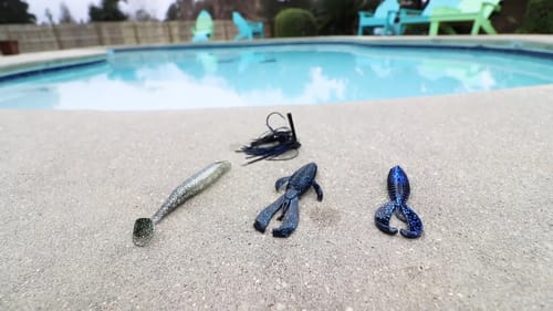 Jig Fishing in A Swimming Pool!