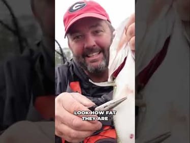 Catch More Fish This Winter with Jerk Bait Tips