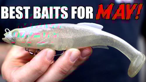 Top 3 BAITS For MAY Bass Fishing!