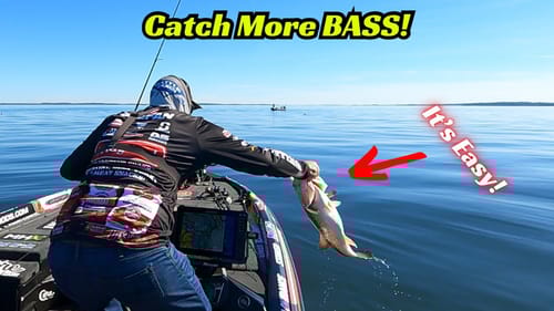 Master These Simple Fishing Fundamentals To Become A Better Angler And Win More Money!