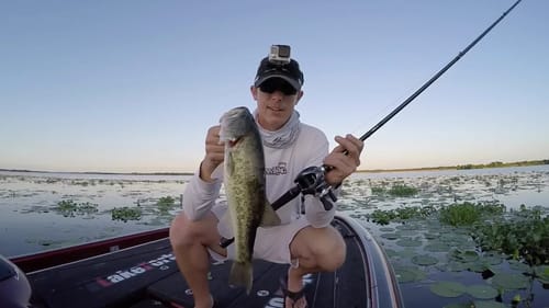 Aldebaran Frog Fishing Test