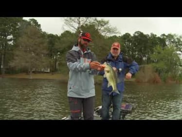 Mike & Pete: Fishing Milfoil