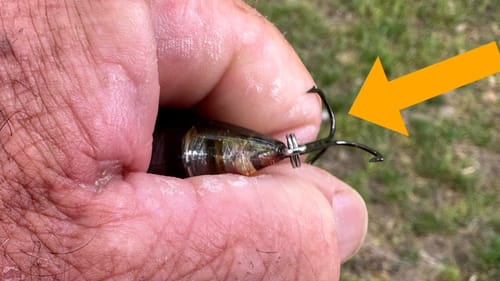 The Summer Crankbait Color That Outproduces All Others…