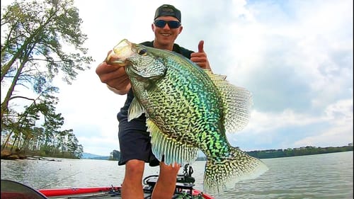 Fishing for BIG CRAPPIE on LAKE GUNTERSVILLE! Spring 2020!