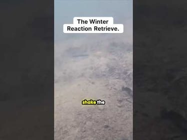 This Worm Has A Secret