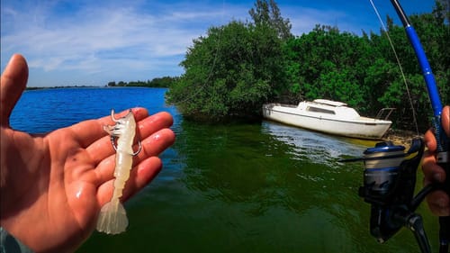 Fishing Abandoned Saltwater Islands For Whatever Bites