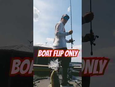 Skipping Docks 🎣 Boat Flipping Bass Harris Chain #short #bassfishing #boatfliponly