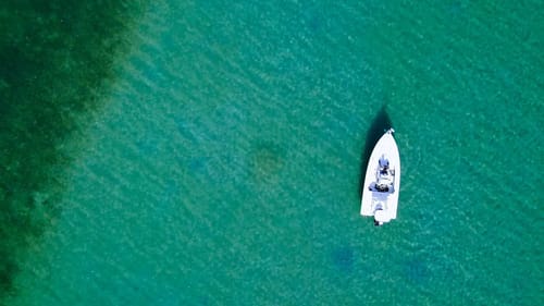 Fishing Ultra Clear Water for One of the Fastest Fish in the World