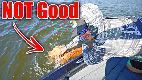 Priorities Changed IMMEDIATELY during my fishing trip...